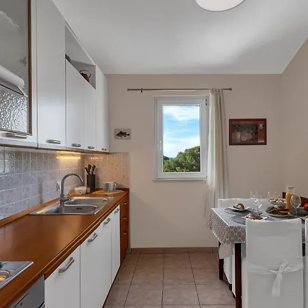 Dev On The In The Center Apartment *