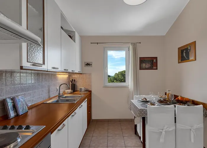 Dev On The In The Center Apartment *